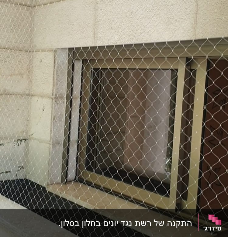 רשת מתכת מותקנת על חלון למניעת כניסת יונים